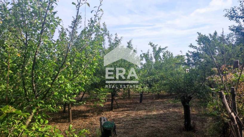 ЕРА ИмотиТе предлага за продажба Парцел - овощна градина, разположен в землището на с. Разбойна, м-ст Узун орман, обл. Търговище