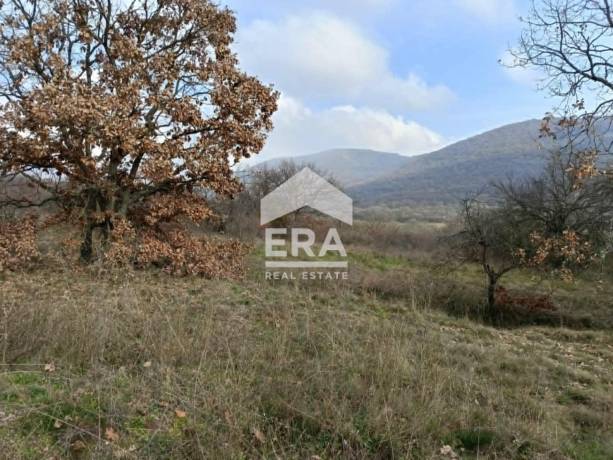 ЕРА Сити Център предлага за продажба поземлен имот, с площ 2543 кв. метра в землището на Ново село
