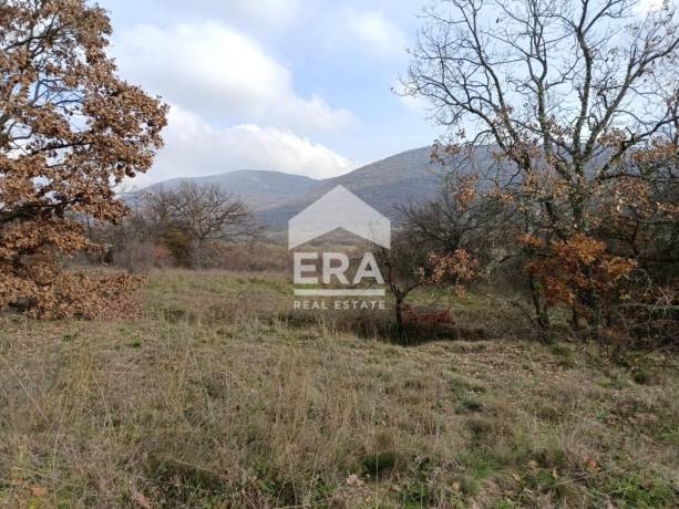 ЕРА Сити Център предлага за продажба поземлен имот, с площ 2543 кв. метра в землището на Ново село
