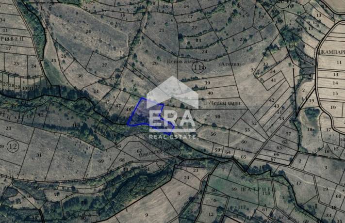 ЕРА Централ Ви предлага парцел в с. Пауново, местност СВЕТА ПЕТКА
