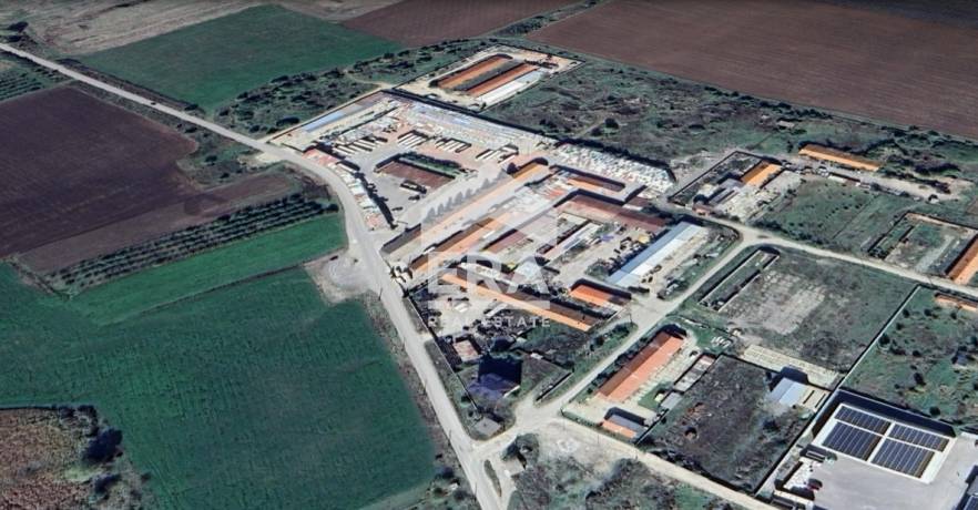 Складова база за продажба с дългогодишни наематели в с. Петърч
