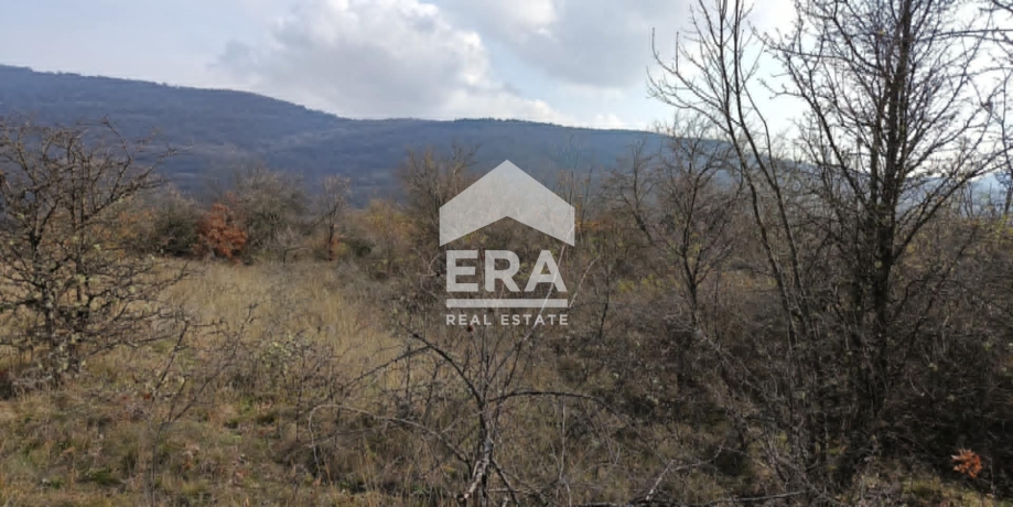 Парцел за продажба в Ново село, област Стара Загора