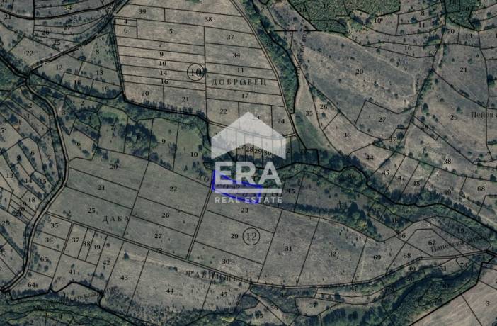 ЕРА Централ Ви предлага парцел в с. Пауново, местност РАВНИЩЕТО