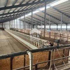 Бизнес имот за продажба в с. Пъстрогор, област Хасково
