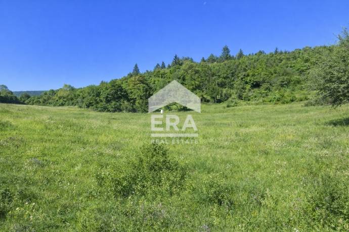 ПАРЦЕЛ ЗА ПРОДАЖБА В СЕЛО КОКАЛЯНЕ ДО САМОКОВСКО ШОСЕ