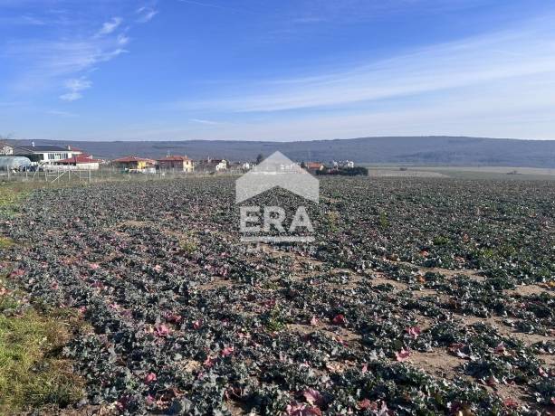 Ексклузивен парцел за продажба с ПУП в село Близнаци, област Варна