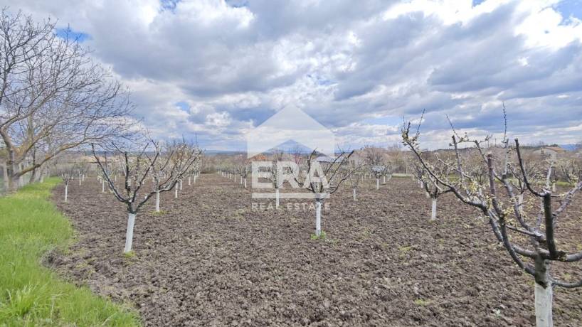 ЕРА ИмотиТе предлага за продажба Парцел - овощна градина в регулация, разположен в с. Здравец, общ. Търговище