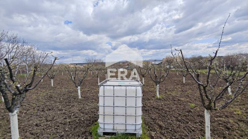ЕРА ИмотиТе предлага за продажба Парцел - овощна градина в регулация, разположен в с. Здравец, общ. Търговище