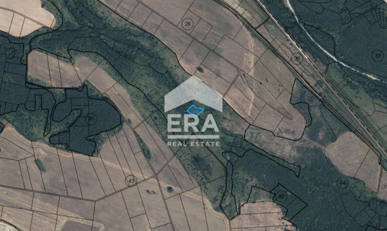 ПАРЦЕЛ ЗА ПРОДАЖБА В с. ПАУНОВО – м. „Мустачевски дол“
