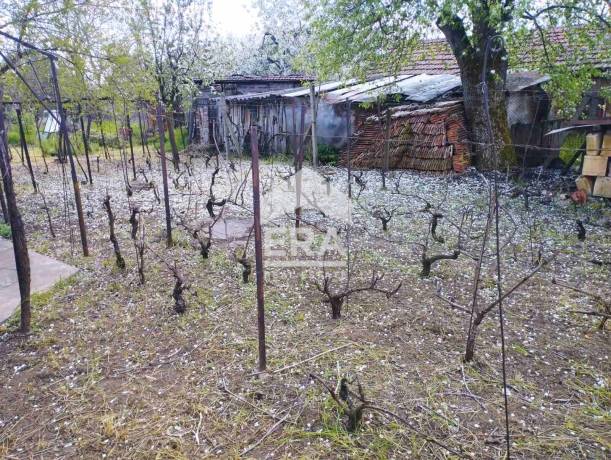 ЕКСКЛУЗИВНО!ЕРА Дръстър предлага за продажба къща в с. Полковник Ламбриново!