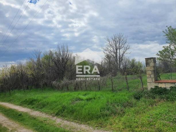 Парцел в село Добрина, град Провадия, област Варна