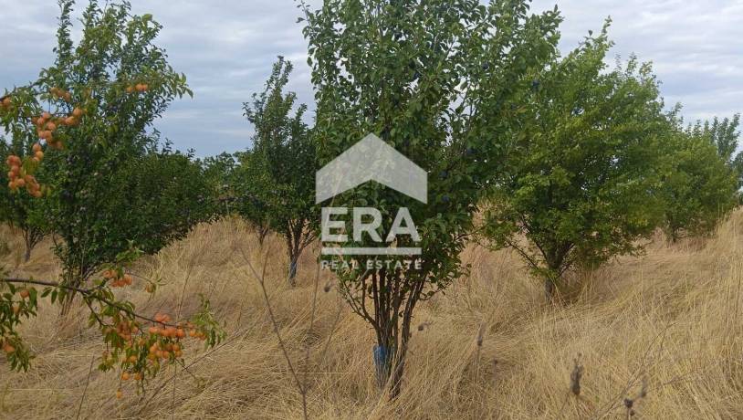 САМО В ЕРА! ЕРА Сити Център продава овощна градина в с.Ковач, обл.Стара Загора