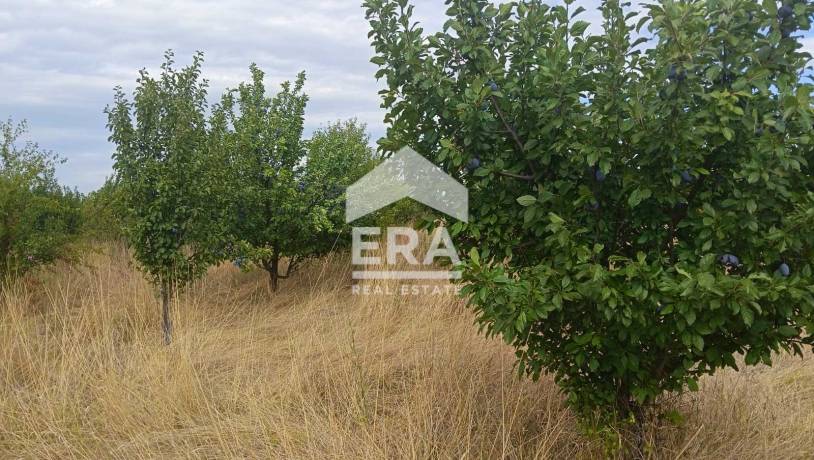 САМО В ЕРА! ЕРА Сити Център продава овощна градина в с.Ковач, обл.Стара Загора