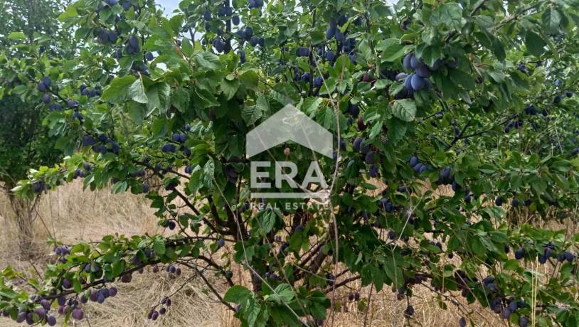 САМО В ЕРА! ЕРА Сити Център продава овощна градина в с.Ковач, обл.Стара Загора